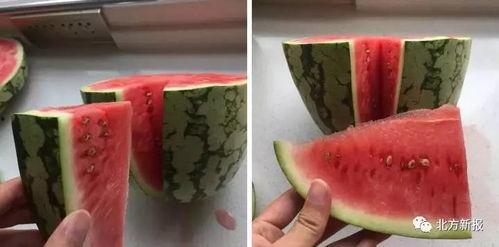 科学吃瓜意思,揭秘健康饮食新潮流