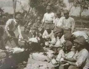 鬼子进村吃瓜,一场意外引发的乡村风云