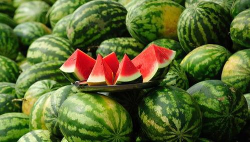 吃瓜突然,吃瓜群众视角下的娱乐圈风云录