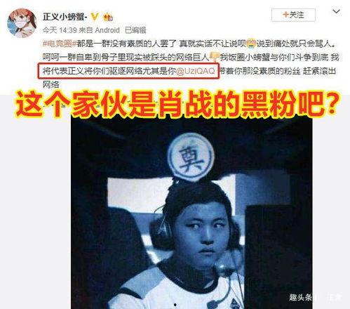 苏杰克 吃瓜看戏,吃瓜看戏，洞察娱乐圈风云变幻