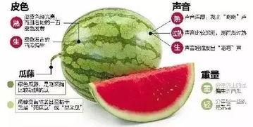 吃瓜新闻微信,揭秘吃瓜新闻背后的真相与趣味