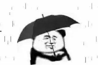 强行吃瓜,揭秘娱乐圈背后的那些事