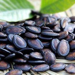 吃瓜拉瓜子,拉瓜子，品生活百态