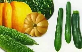 lwx吃瓜,揭秘电竞圈的“瓜田”风云