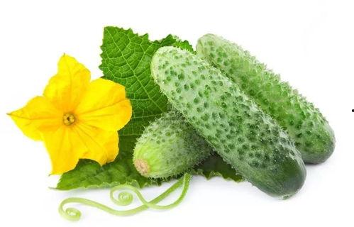 石笑笑吃瓜系统,揭秘娱乐圈幕后真相