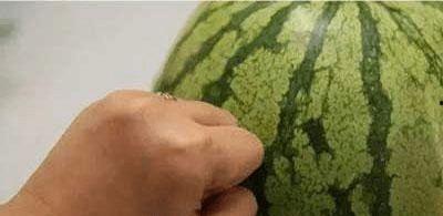 敲头吃瓜,揭秘网络热词背后的趣味与智慧