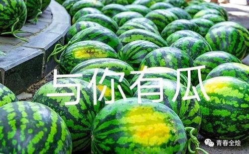 大学的吃瓜,大学校园里的“吃瓜”风云录