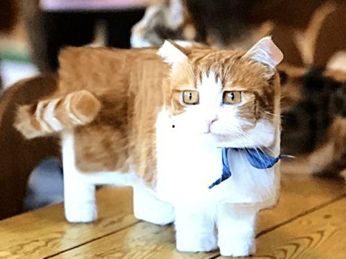 瓜哥吃瓜画猫视频