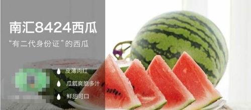 如何鉴定吃瓜群众